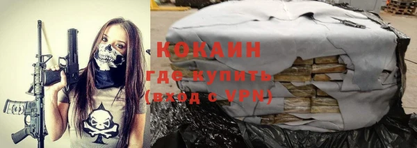 ГАЛЛЮЦИНОГЕННЫЕ ГРИБЫ Осташков