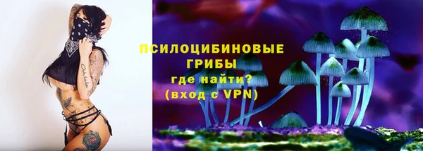ГАЛЛЮЦИНОГЕННЫЕ ГРИБЫ Осташков