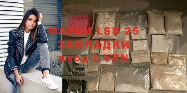 ГАЛЛЮЦИНОГЕННЫЕ ГРИБЫ Осташков