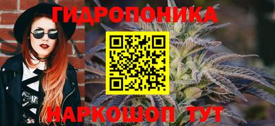 индика Рязань