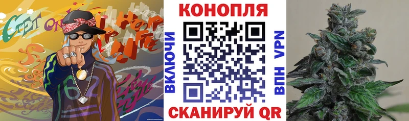 купить наркоту  Новосибирск  Бошки Шишки тримм 